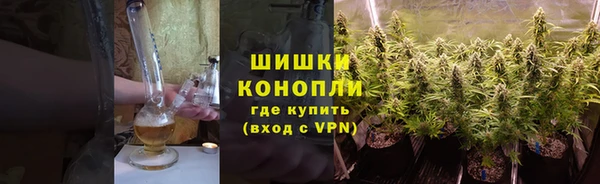 PSILOCYBIN Нефтегорск