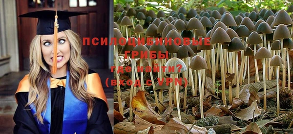 каннабис Алзамай