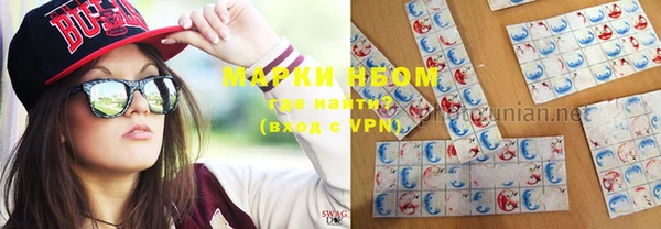 кокс Нея