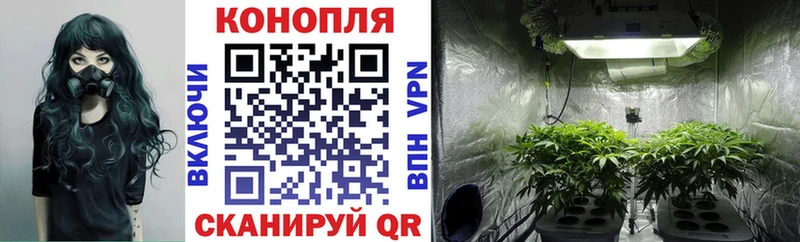 продажа наркотиков Николаевск-на-Амуре Бошки марихуана тримм
